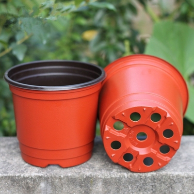 cactus superiore di 15cm Dia Disposable Plastic Flower Pots una piantatrice da 5 galloni