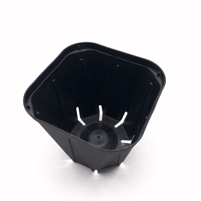 Vaso per piantine in plastica nera durevole per vendite intere, piccolo vaso da vivaio a forma quadrata