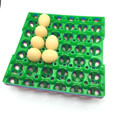 vassoio quadrato di plastica accatastabile della regolazione dell'uovo dell'incubatrice del supporto 152mm dell'uovo 9pcs