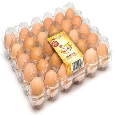 Vassoio di plastica conveniente dell'incubatrice dell'uovo di trasporto del cartone dell'uovo del PVC di 8pcs 0.7mm