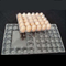 uovo quadrato di plastica puro Tray Holder del vassoio 71mm dell'uovo dell'ANIMALE DOMESTICO eliminabile 15packs
