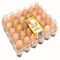 vassoio quadrato di plastica accatastabile della regolazione dell'uovo dell'incubatrice del supporto 152mm dell'uovo 9pcs