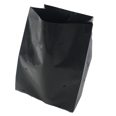 Sistema di coltivazione idroponica Sacchetti di coltivazione in plastica Soft Generate Peony Flower Nursery Bag