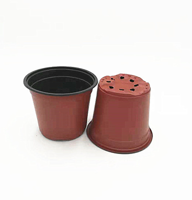 Vaso monouso a due colori per serre e giardini