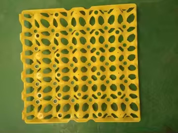 Colore giallo Plastica Blister Termoformato Piastra a vuoto Imballaggio Uova Trasporto 30 Imballaggio Uova