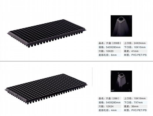 Vasso per semina in plastica da 200 celle - Spessore 2 mm e resistente all'invecchiamento per una propagazione duratura delle piante