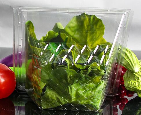 Scatole in PET riciclabile personalizzabile per frutta e verdura con imballaggio trasparente termoformante