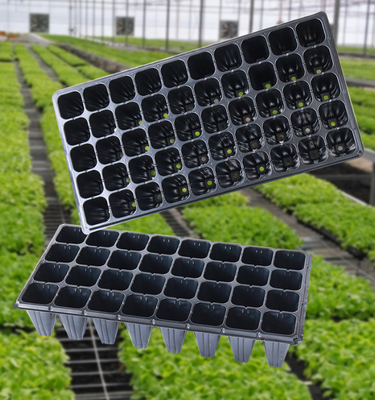 Wholesale rectangular multi-hole seedling trays for vegetables, succulents, and cuttings, thickened nursery trays