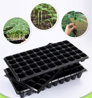 Vassoi speciali per piantine di ortaggi, vassoi con tappi per la coltivazione di piantine, tazze per la coltivazione di ortaggi, cassette per talee per l'agricoltura, vassoi agricoli, vassoi per piantine in plastica