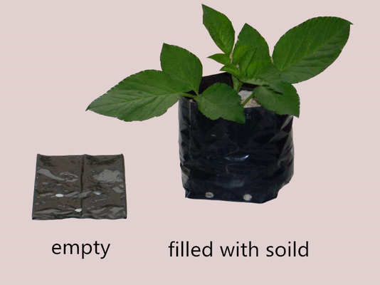 Sistema di coltivazione idroponica Sacchetti di coltivazione in plastica Soft Generate Peony Flower Nursery Bag