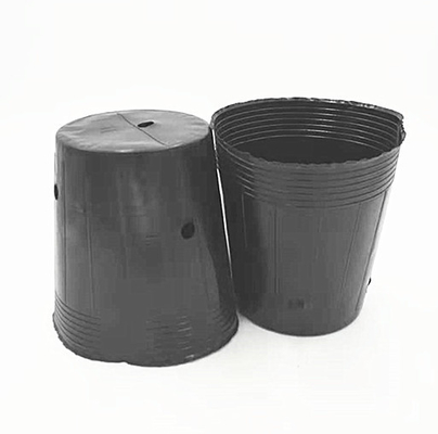 Potte di plastica in HDPE per la coltivazione di semi di cipolla