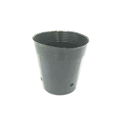 Potte di plastica in HDPE per la coltivazione di semi di cipolla