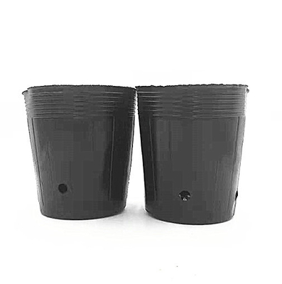 Potte di plastica in HDPE per la coltivazione di semi di cipolla