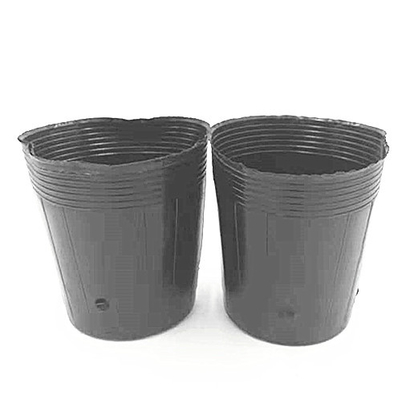 Potte di plastica in HDPE per la coltivazione di semi di cipolla