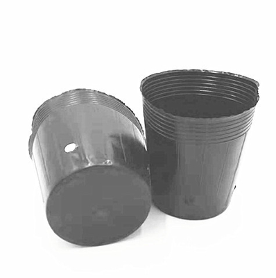 Potte di plastica in HDPE per la coltivazione di semi di cipolla