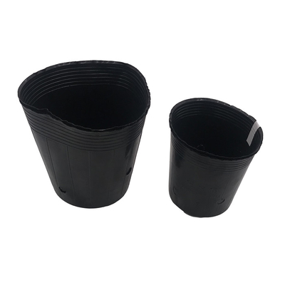 Vaso di piante di plastica morbida idroponica Vaso di cresso di acqua Peso leggero