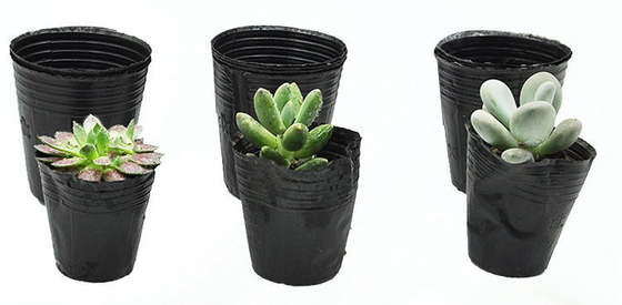 Vaso di piante di plastica morbida idroponica Vaso di cresso di acqua Peso leggero