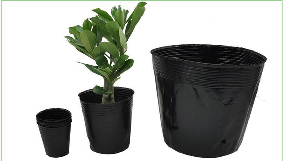 Vaso di piante di plastica morbida idroponica Vaso di cresso di acqua Peso leggero
