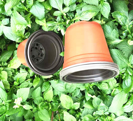 Vaso monouso a due colori per serre e giardini