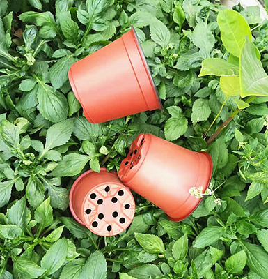 Vaso monouso a due colori per serre e giardini