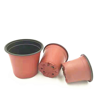 Vaso monouso a due colori per serre e giardini