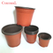 Vasi d'apertura della palma 5.5cm Dia Mini Plastic Pots Indoor Plant del salone 5cm alti