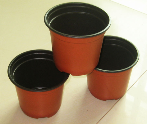 Vendibile a caldo Scatola rotonda Soft Hydroponic Fresh Flower Pot resistente all'invecchiamento
