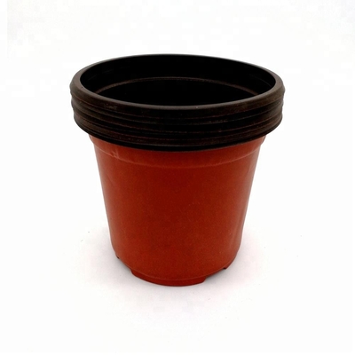 PP Sole Larghezza 15 cm Vaso di fiori di plastica 12 buchi di drenaggio