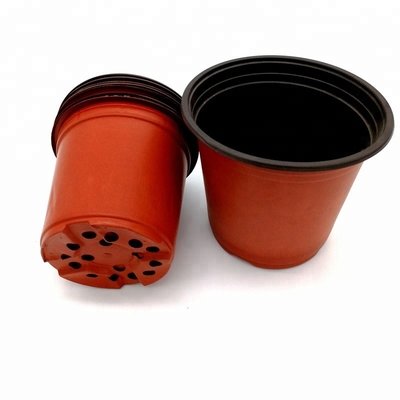 PP Sole Larghezza 15 cm Vaso di fiori di plastica 12 buchi di drenaggio