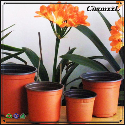 Molteplici muffe di piante nere Vaso di fiori morbido Vaso di rete di alta qualità