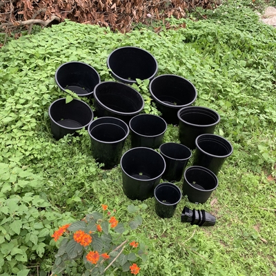 Plastico duro durevole 3 galloni di piante da fiore nero Grandi vasi di PP / HDPE