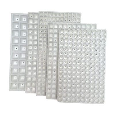 Piatto di semina di schiuma 50 buchi, 120 buchi, 160 buchi, 200 buchi EPS Materiale personalizzato
