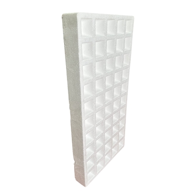 Piatto di semina di schiuma 50 buchi, 120 buchi, 160 buchi, 200 buchi EPS Materiale personalizzato