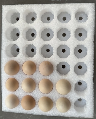 EPE vassoio per uova Prodotti fragili Perla di cotone Imballaggio di protezione Custom