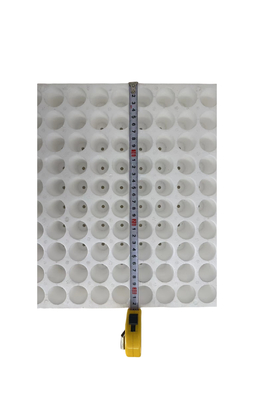 160 buchi rotondo EPS piantone vassoio piantone vassoio piantone vassoio piantone piantone vassoio