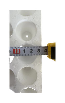 160 buchi buchi rotondi piantone di schiuma piantone EPS personalizzazione
