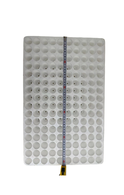 160 buchi buchi rotondi piantone di schiuma piantone EPS personalizzazione