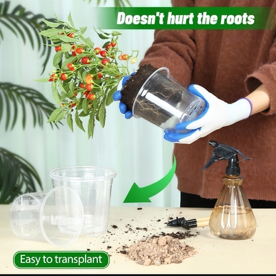 Vaso per orchidee trasparente con rivestimento UV resistente