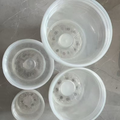 Vaso per fiori di Phalaenopsis trasparente con finitura non rivestita