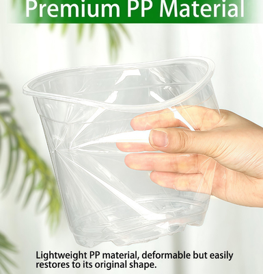 Vaso per orchidee trasparente con rivestimento UV resistente