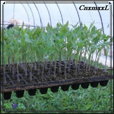2 mm di spessore 32 50 98 108 118 200 cellule vassoio di semina di plastica per alberi forestali - resistente all'invecchiamento e durevole