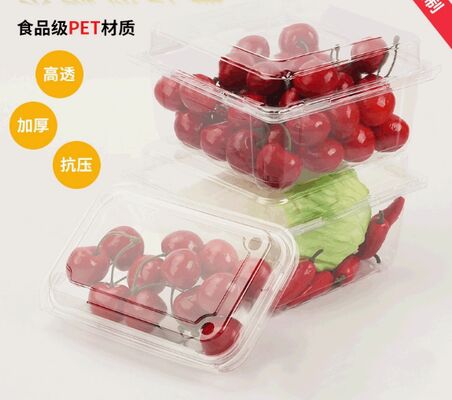 Scatola di imballaggio in vesciche in plastica PET personalizzata con tenuta termica e materiale riciclabile per frutta e medicina