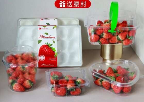 Scatola di imballaggio in vesciche in plastica PET personalizzata con tenuta termica e materiale riciclabile per frutta e medicina