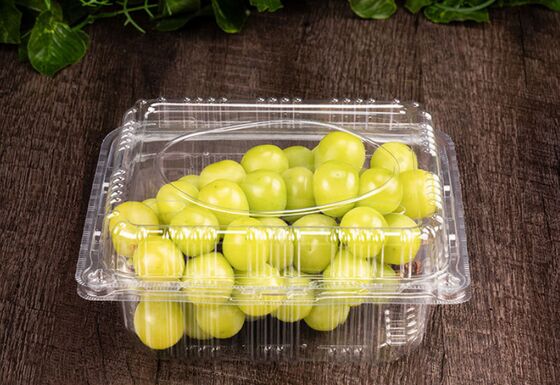 Scatola per imballaggio di frutta in PET riciclabile con design personalizzato e termosaldatura per conservazione trasparente della frutta