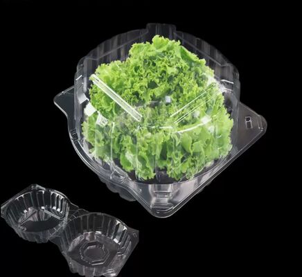 Scatola di imballaggio per frutta personalizzabile con PET riciclabile e sigillamento termico per una protezione perfetta