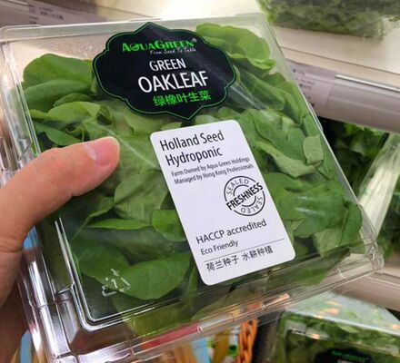 Scatola Personalizzabile in PET Riciclabile per Frutta e Verdura Fresca con Imballaggio Trasparente Termoformato