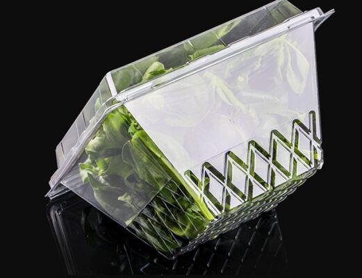 Customized Design Recyclable PET Heat Sealing Fruit Packaging Box for Tomato and Blueberry