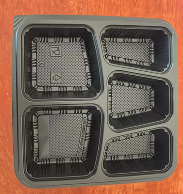 5 DIVISION PLASTIC CONTAINERCOLOR