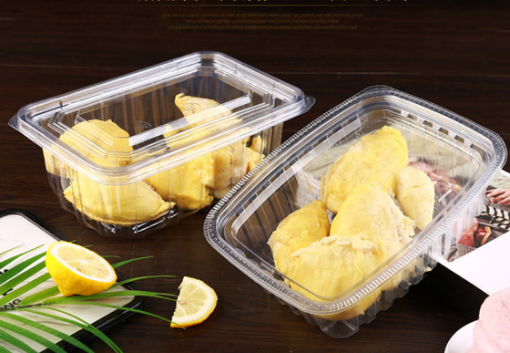 Dispositivo di plastica usa e getta e scatola di imballaggio per macaroni con PET riciclabile e sigillamento termico
