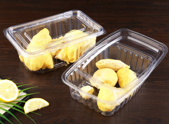 Piatto di pasta di plastica ecologico con stampa personalizzata e design trasparente per imballaggi alimentari